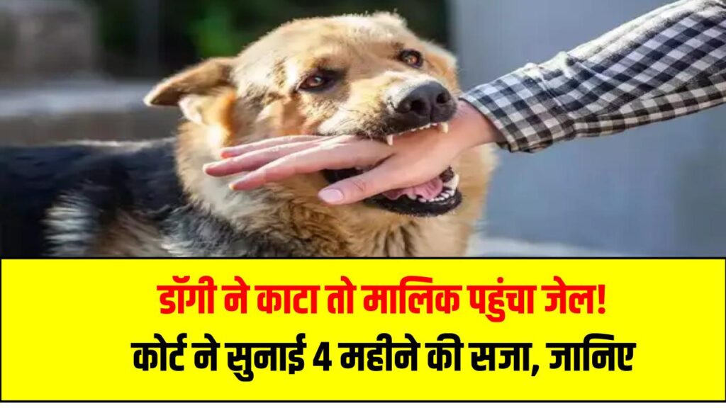 डॉगी ने काटा तो मालिक पहुंचा जेल! कोर्ट ने सुनाई 4 महीने की सजा, जानिए पूरा मामला