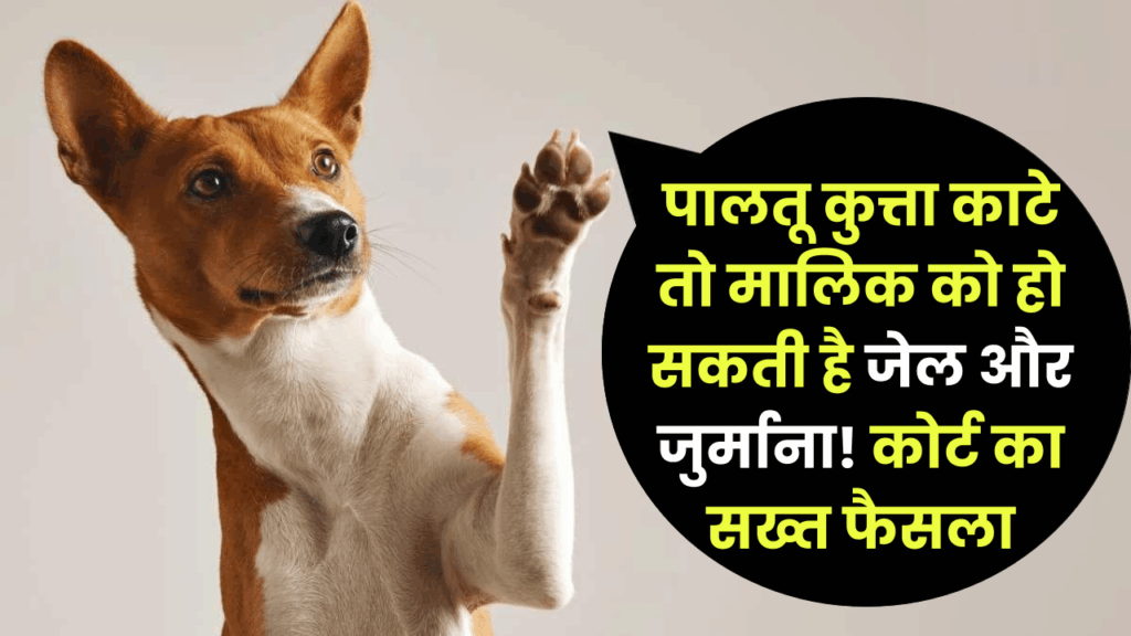 पालतू कुत्ता काटे तो मालिक को हो सकती है जेल और जुर्माना! कोर्ट का सख्त फैसला