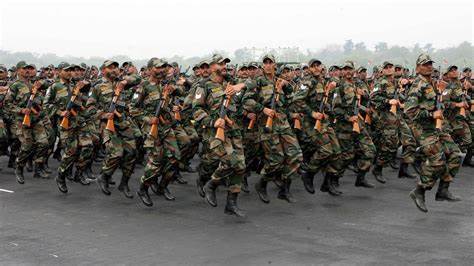 territorial army
