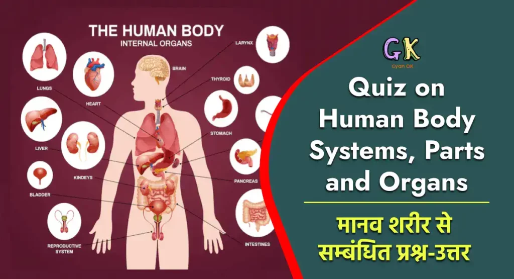 Human Body Quiz: Human Body Systems, Parts & Organs