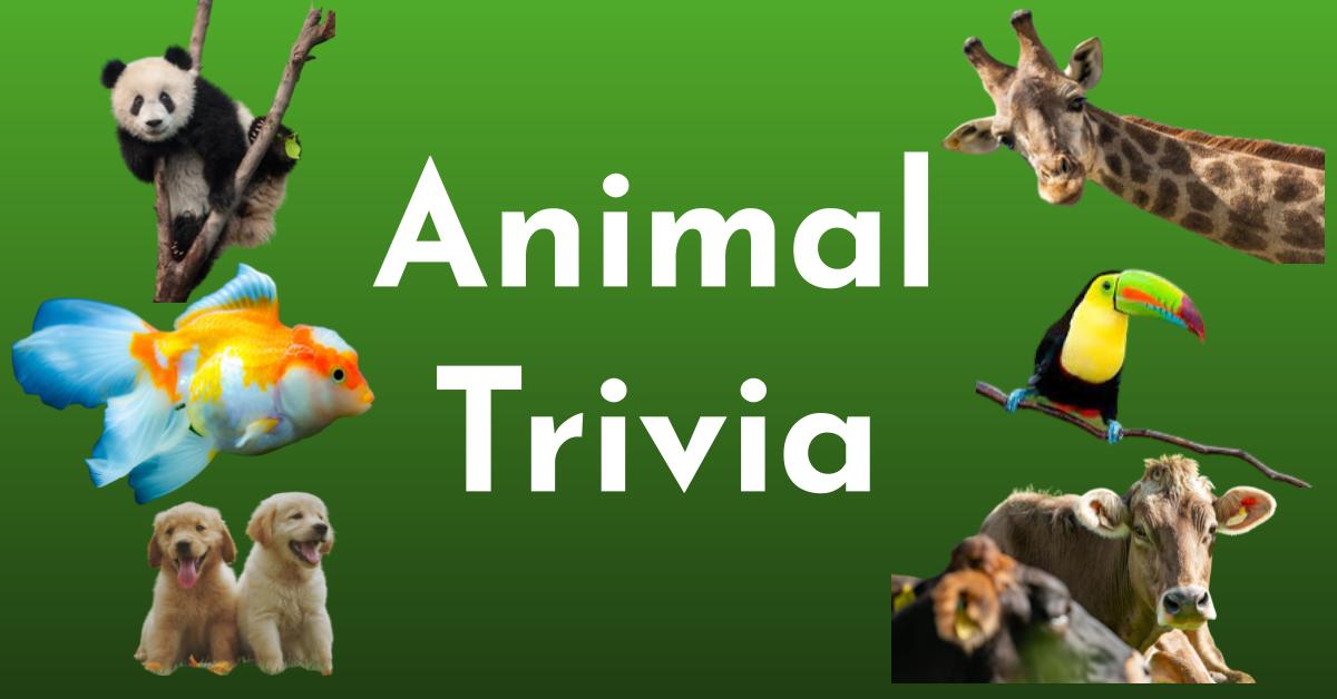 Animals Knowledge Trivia Quiz