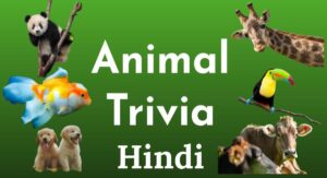 एनिमल सामान्य ज्ञान क्विज - Animals Trivia Quiz in Hindi