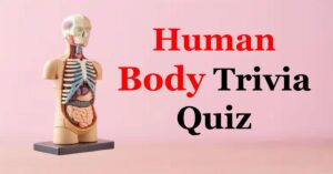 Test Your Knowledge: Can You Pass the Human Body Quiz?