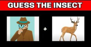 "Guess the Insect by Emoji Challenge"