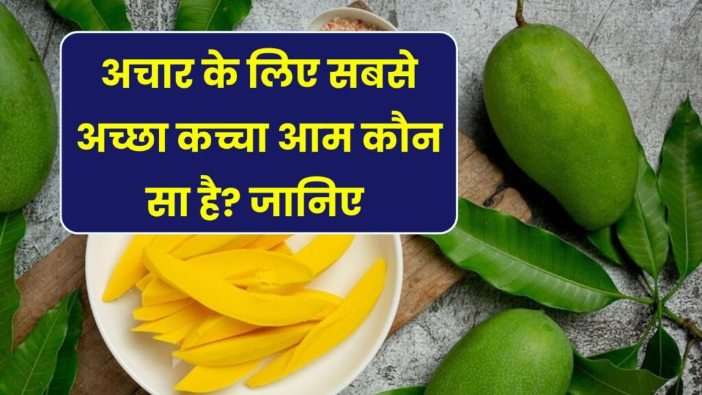 अचार के लिए कौनसा कच्चा आम है बेस्ट? शेफ पंकज भदौरिया ने बताया टिकाऊ मैंगो पिकल का राज