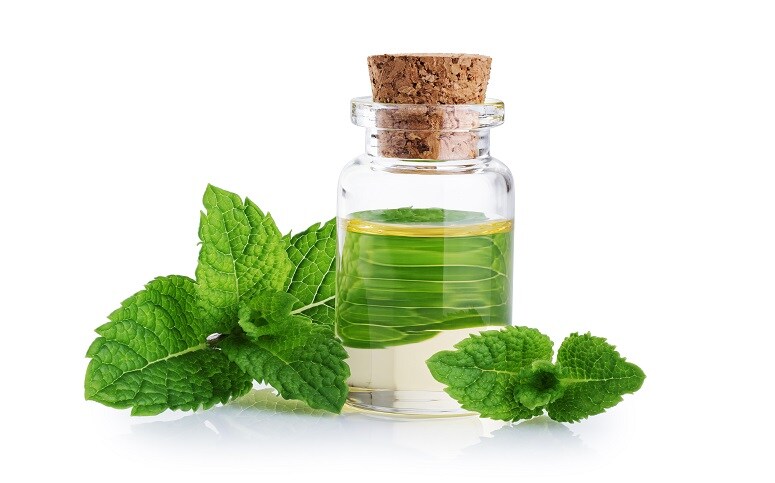 Peppermint Oil