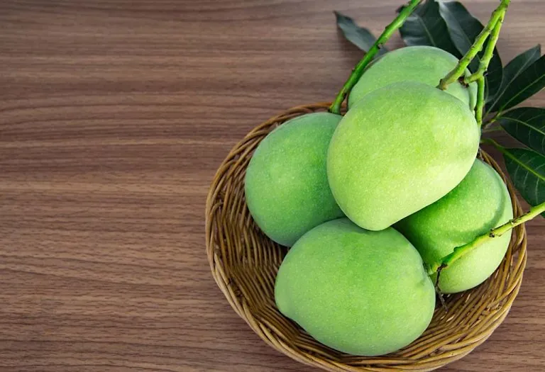 Raw Mango Varieties