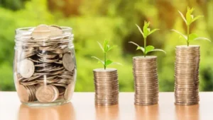 Savings Account कितने प्रकार के होते हैं? जानिए कौन सा सेविंग अकाउंट आपके लिए है सबसे बेहतर