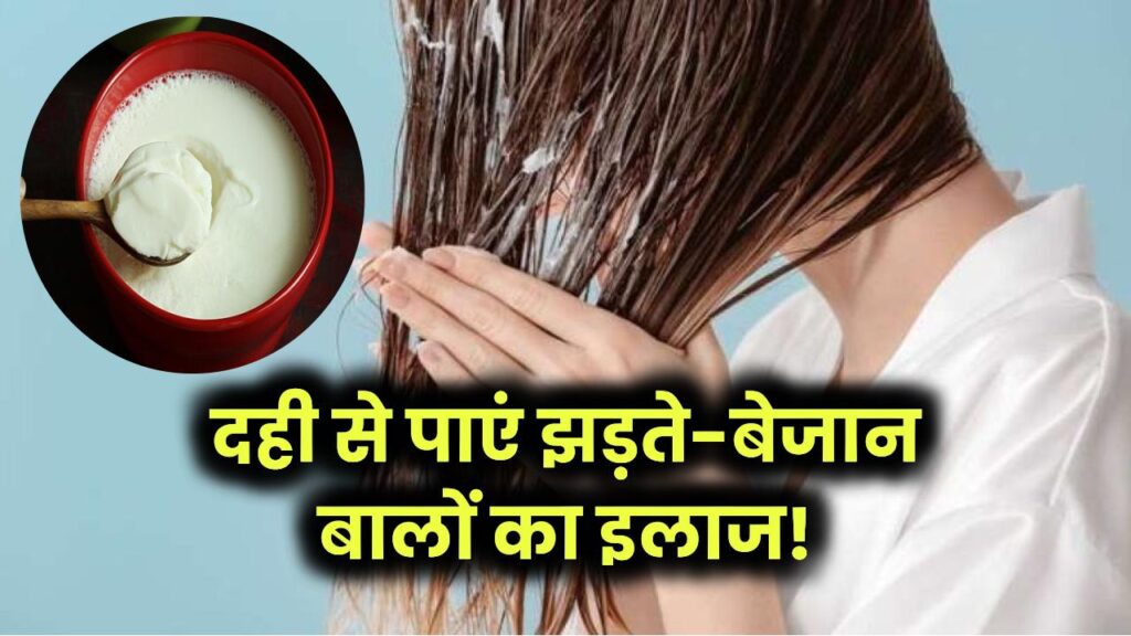दही से पाएं झड़ते-बेजान बालों का इलाज!