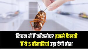 किचन में हैं कॉकरोच? इनसे फैलती हैं ये 5 बीमारियां उड़ा देंगी होश