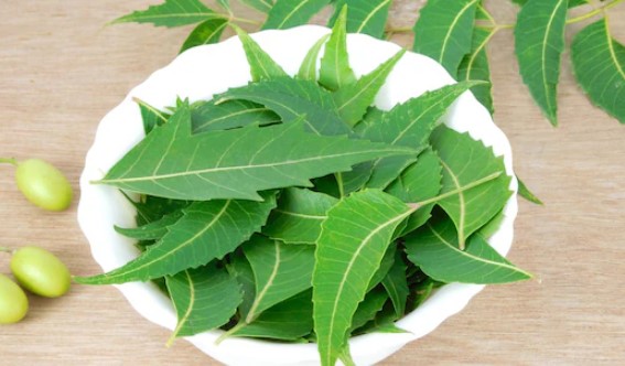 Neem