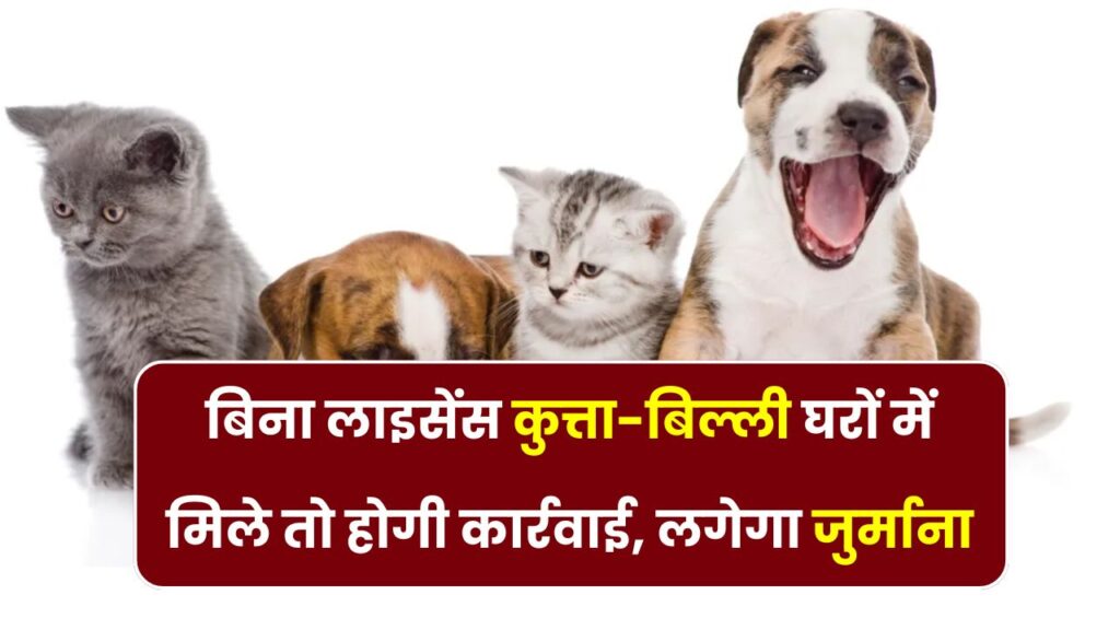 घर में बिना लाइसेंस कुत्ता या बिल्ली रखी तो लगेगा भारी जुर्माना, जानिए नया नियम