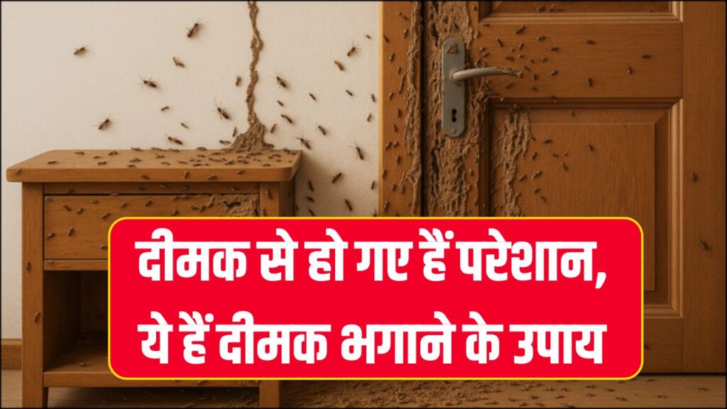 Deemak Bhagane Ke Upay: दीमक से हो गए हैं परेशान, ये हैं दीमक भगाने के असरदार उपाय