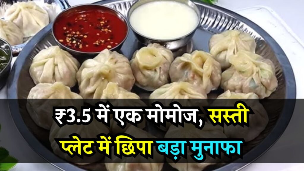 ₹3.5 में एक मोमोज, सस्ती प्लेट में छिपा बड़ा मुनाफा! मोमोज बेचकर कितनी कमाई कर लेते हैं ये ठेले वाले