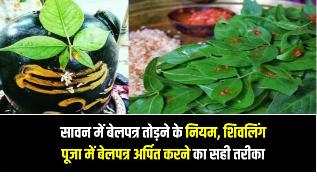 सावन में बेलपत्र तोड़ने के नियम, शिवलिंग पूजा में बेलपत्र अर्पित करने का सही तरीका और नियम जानें
