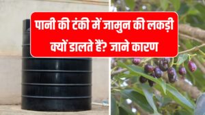 पानी की टंकी में जामुन की लकड़ी क्यों डालते हैं? क्या है आयुर्वेदिक और वैज्ञानिक कारण