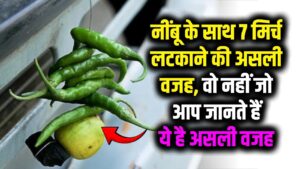नींबू के साथ 7 मिर्च लटकाने की असली वजह? सिर्फ अंधविश्वास नहीं! ये है असल वजह 