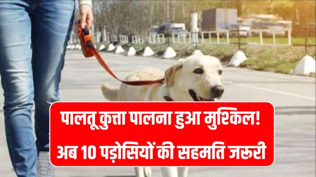 पालतू कुत्ता पालना हुआ मुश्किल! अब 10 पड़ोसियों की सहमति जरूरी, नगर निगम का नया नियम