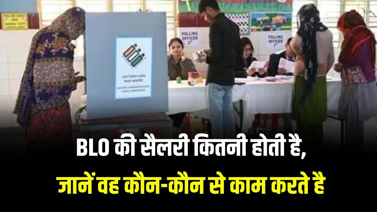 BLO की सैलरी कितनी होती है, वोटर लिस्ट बनाने के अलावा क्या काम करते हैं?