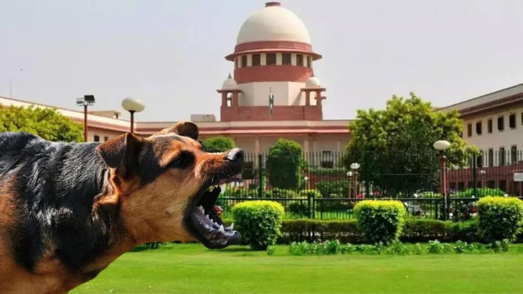 Supreme Court का बड़ा आदेश, अब शेल्टर होम में रखे जाएंगे सिर्फ आक्रामक और रेबीज से पीड़ित कुत्ते, डॉग पकड़ने में बाधा डालने वालों पर होगा जुर्माना