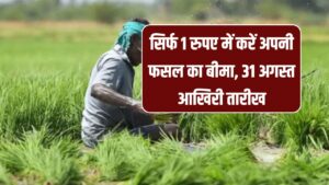 Birsa PM Fasal Bima Yojana: सिर्फ 1 रुपये में फसल बीमा, 31 अगस्त आखिरी तारीख! जानें कैसे उठाएं फायदा