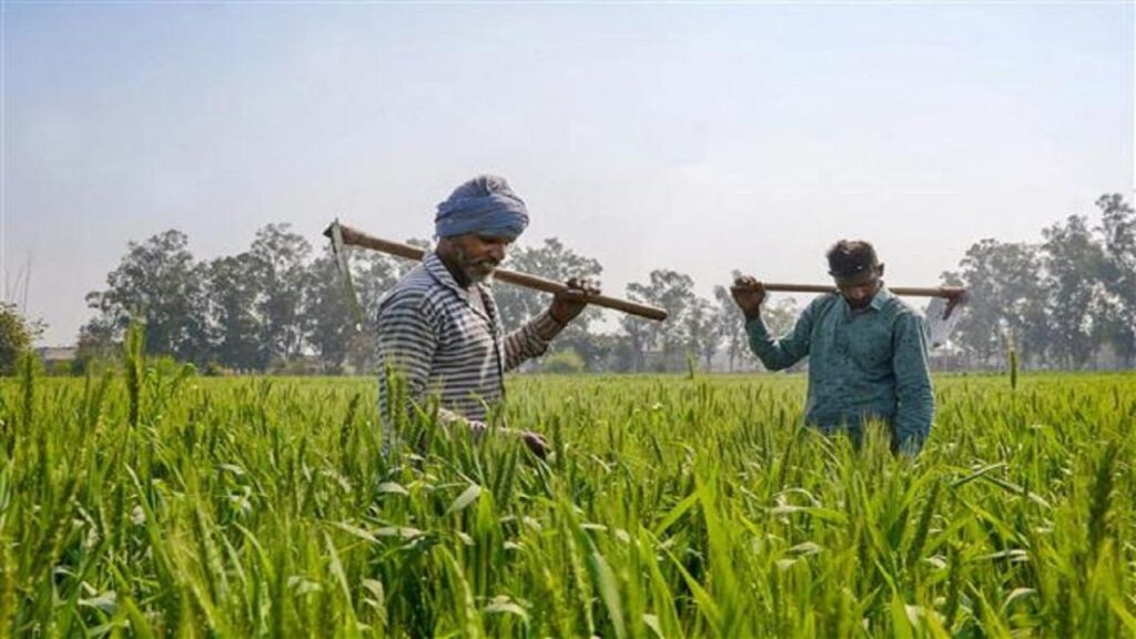 धान-गेहूं-गन्ना नहीं इस फसल से किसान कमा रहे दोगुना मुनाफा, मंडी में है हाई डिमांड