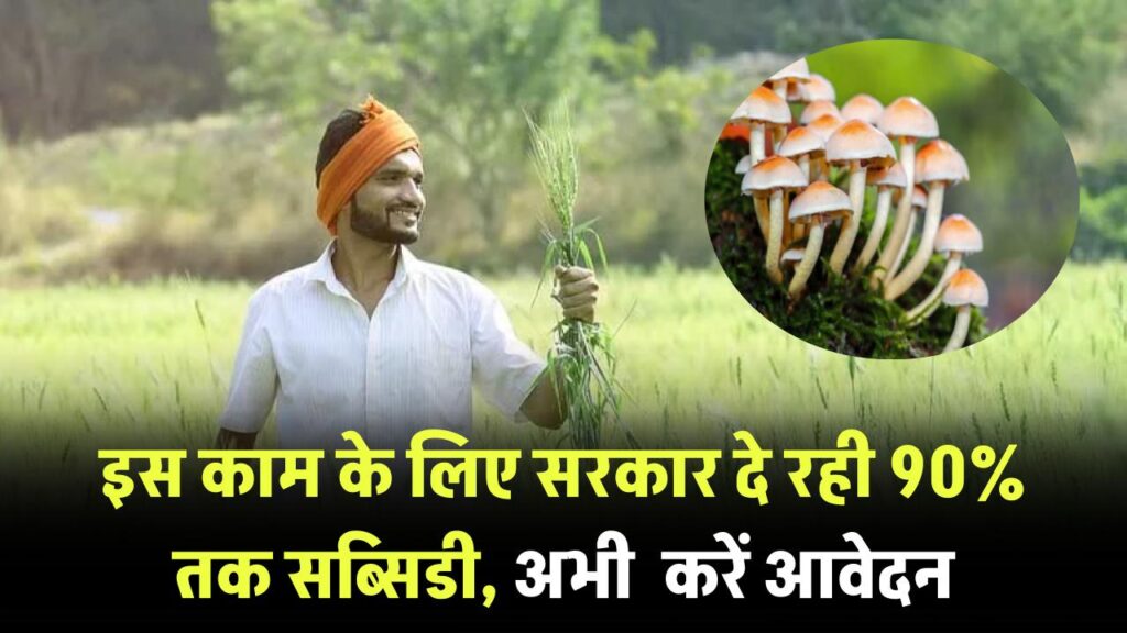 बिना खेत की खेती! सरकार दे रही 90% तक सब्सिडी, जानें कैसे करें आवेदन