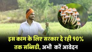 बिना खेत की खेती! सरकार दे रही 90% तक सब्सिडी, जानें कैसे करें आवेदन 3 बिना खेत की खेती! सरकार दे रही 90% तक सब्सिडी, जानें कैसे करें आवेदन
