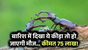 बारिश में दिखा ये कीड़ा तो हो जाएगी मौज… कीमत 75 लाख!