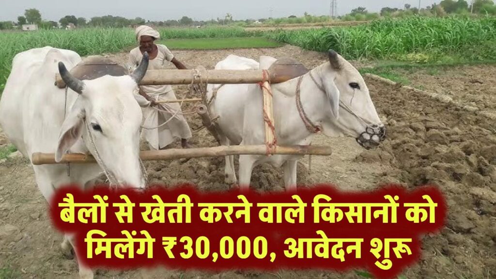 Kisan Yojana: बैलों से खेती करने वाले किसानों को मिलेंगे 30 हजार की मदद, जानें आवेदन प्रक्रिया