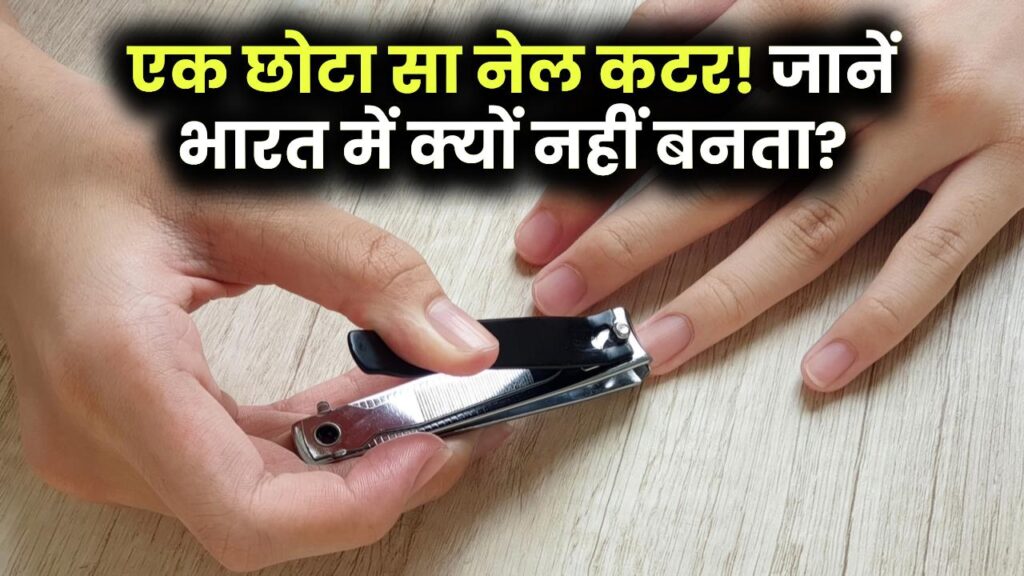 हर घर में होता है यूज पर फिर भी भारत में नहीं बनता ये छोटा सा नेल कटर? जानें क्यों चौंकाने वाली है वजह