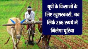 UP Kisan News: यूपी के किसानों के लिए खुशखबरी! सरकार ने बताया खाद का स्टॉक और 2,174 वाला यूरिया मिलेगा मात्र 266 रुपये में 3 UP Kisan News: यूपी के किसानों के लिए खुशखबरी! सरकार ने बताया खाद का स्टॉक और 2,174 वाला यूरिया मिलेगा मात्र 266 रुपये में