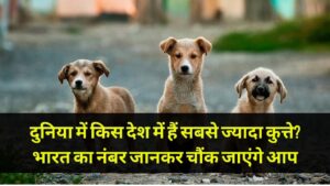 दुनिया में किस देश में हैं सबसे ज्यादा कुत्ते? भारत का नंबर जानकर चौंक जाएंगे आप