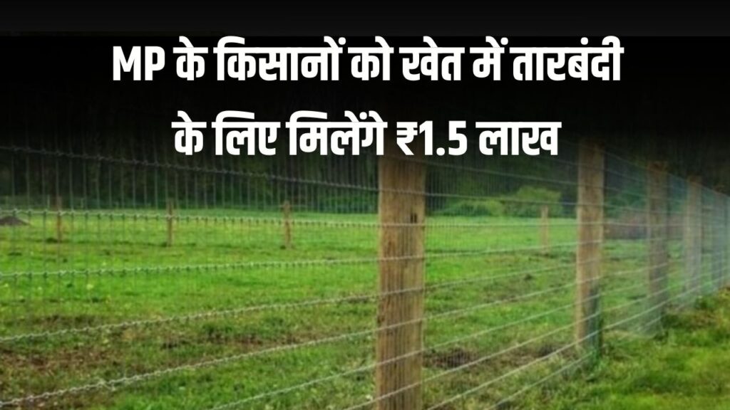 अब MP के किसानों को खेत में तारबंदी के लिए मिलेंगे ₹1.5 लाख! ऐसे करें आवेदन