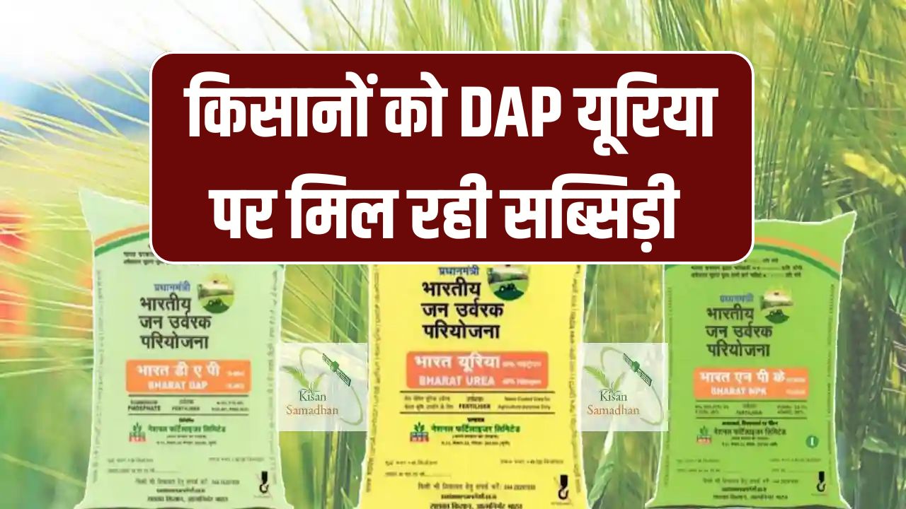 DAP Urea New Rate 2025: किसानों को मिली बड़ी राहत! सब्सिडी के साथ मिलेगा डीएपी यूरिया
