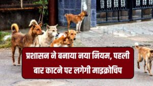 प्रशासन ने बनाया नया नियम, पहली बार काटने पर लगेगी माइक्रोचिप, दूसरी बार काटने पर कुत्ते को होगी ‘उम्रकैद’