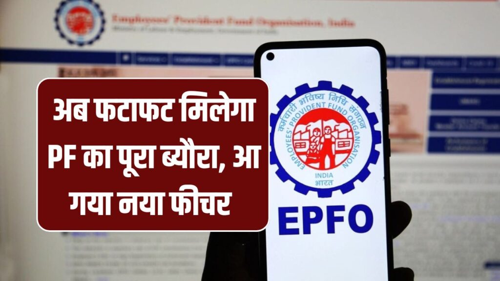 EPFO का तोहफा! अब फटाफट मिलेगा PF का पूरा ब्यौरा, जानें नया फीचर और कैसे करें इस्तेमाल