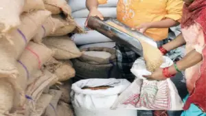 Free Ration: सितंबर का फ्री राशन वितरण हुआ शुरू, साथ में 3 किलो चीनी भी
