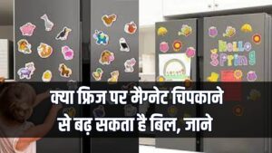 क्या फ्रिज पर मैग्नेट चिपकाने से बढ़ रहा आपका बिजली बिल? कंपनियों ने खुद खोली पोल! 2 क्या फ्रिज पर मैग्नेट चिपकाने से बढ़ रहा आपका बिजली बिल? कंपनियों ने खुद खोली पोल!