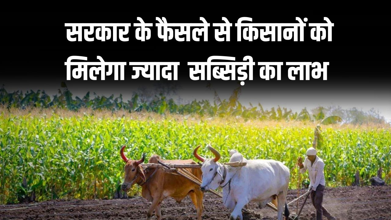 गेहूं की सब्सिडी बढ़ी! सरकार के फैसले से किसानों को मिलेगा भारी लाभ, जानें कितनी बढ़ेगी सब्सिडी