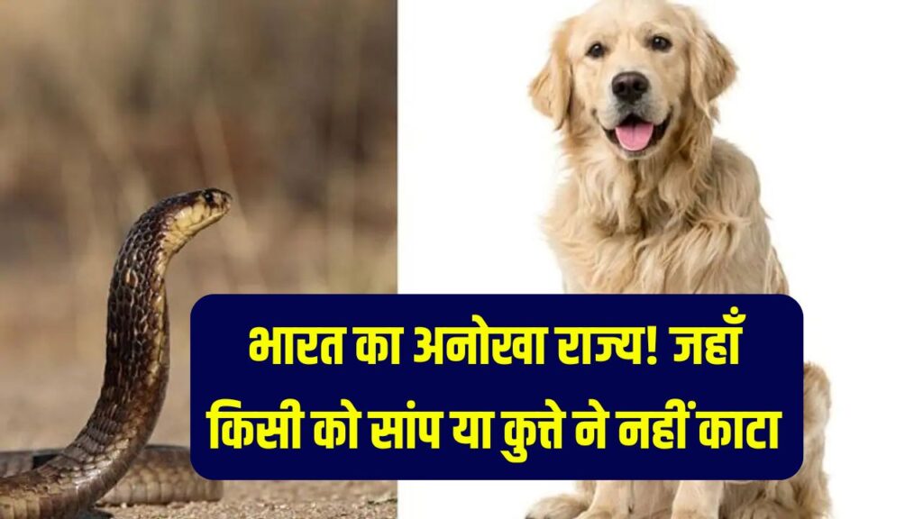 भारत का अनोखा राज्य! यहां किसी को सांप या कुत्ते ने नहीं काटा,ये है वजह