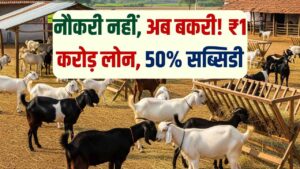 नौकरी छोड़ो, सरकार बकरी पालन के लिए दे रही 1 करोड़ तक लोन और 50% सब्सिडी