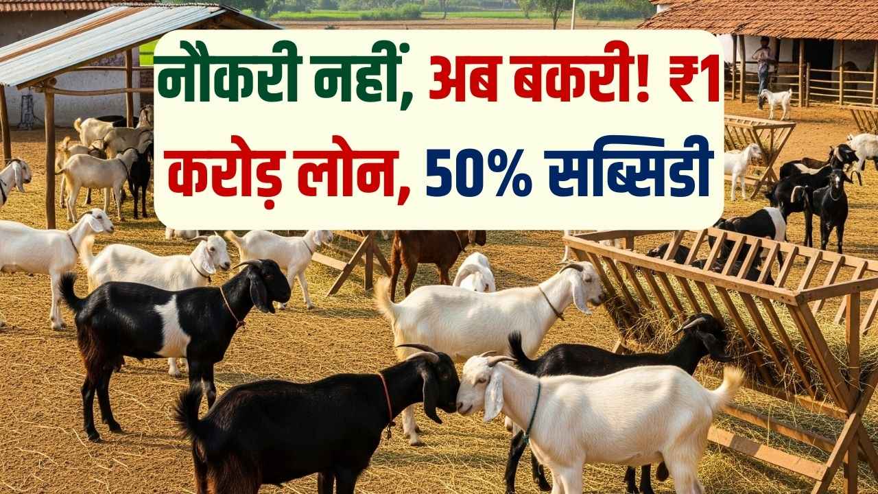 नौकरी छोड़ो, सरकार बकरी पालन के लिए दे रही 1 करोड़ तक लोन और 50% सब्सिडी