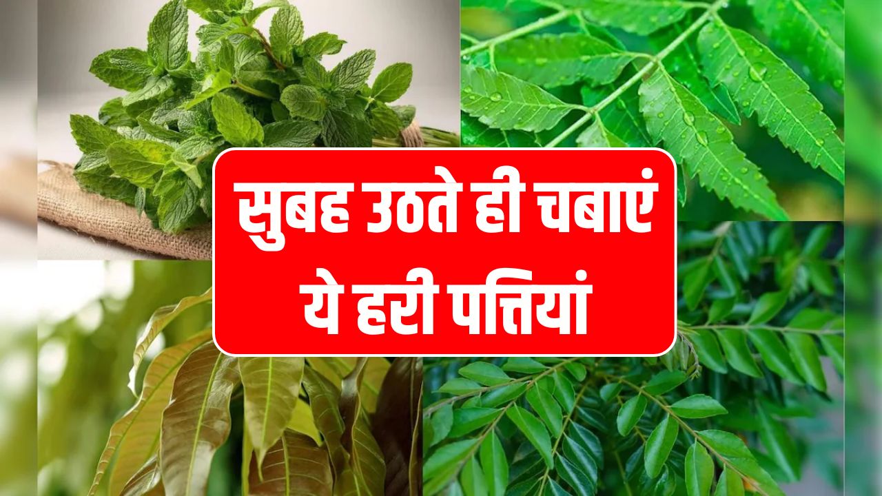 सुबह उठते ही चबाएं ये हरी पत्तियां! 4 बड़ी स्वास्थ्य समस्याओं से तुरंत राहत पाएं