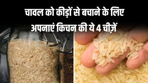 चावल में नहीं लगेगा कीड़ा, घुन भी पास नहीं फटकेगा, किचन की 4 चीज़ें बनेंगी रामबाण