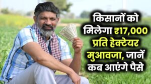 किसानों को मिलेगा ₹17,000 प्रति हेक्टेयर मुआवजा, जानें कब आएंगे पैसे खाते में
