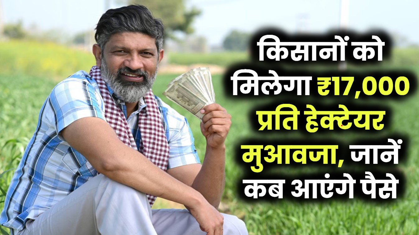 किसानों को मिलेगा ₹17,000 प्रति हेक्टेयर मुआवजा, जानें कब आएंगे पैसे खाते में