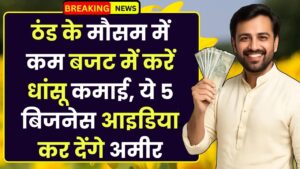 Winter Business Ideas: ठंड के मौसम में कम बजट में करें धांसू कमाई, ये 5 बिजनेस आइडिया कर देंगे अमीर