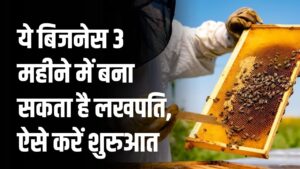 कम निवेश, तेज रिटर्न, ये बिजनेस 3 महीने में बना सकता है लखपति, कैसे करना है शुरू देखें