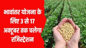 Bhavantar Yojana: 3 से 17 अक्टूबर तक चलेगा रजिस्ट्रेशन, जल्दी करें वरना होगा नुकसान